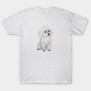 Fluffy White Toy Poodle T-Shirt